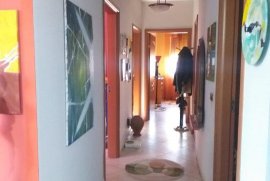 Shitet, Apartament 3+1, fresku, Shitje