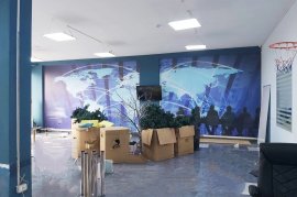 Super Ambient per Zyra 280 m2 - Deliorgji - Globe , Ενοικίαση