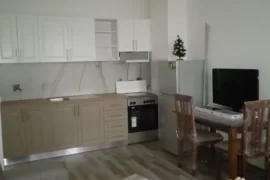 Apartament Me Qira 1+1,Ish Fusha E Aviacionit ,400, Ενοικίαση