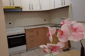 Apartament 1+1 me qira prane Kopshtit Botanik, Bérlés