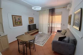 Apartament 1+1 me qira tek Kopshti Zoologjik , Ενοικίαση