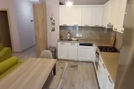 Super Apartament 2+1 qira kopshti zoologjik, Alquiler