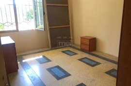 Tek Kopshti Zoologjik Jepet Me Qira Apartament 1+1, Ενοικίαση