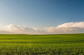 Shitet toke 4000m2 me Cmim OKAZIOON, Verkauf