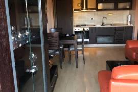 Jepet me qera super apartment 1+1:kopshti zologjik, Alquiler